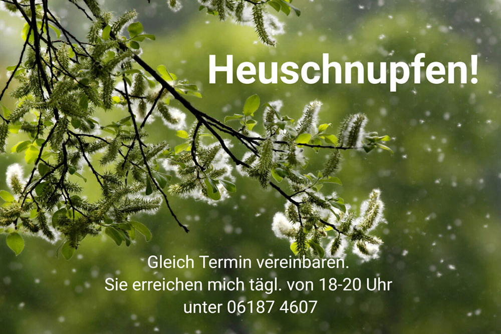 Heuschnupfen mit TCM Akupunktur beseitigen